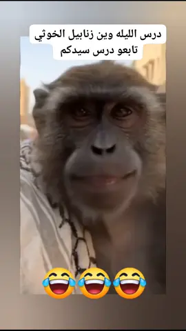 #اخر #الأخبار 