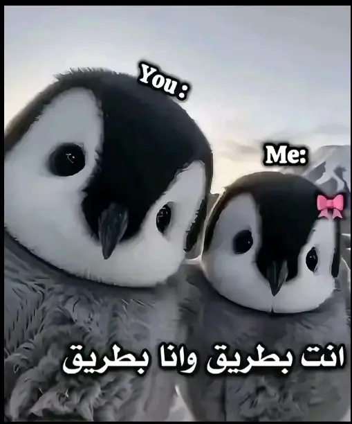 #ترند #طششونيي🔫🥺😸💞 التخمط🌝💆🏻‍♀️🔫#صديقي_المفضل #ترندات_تيك_توك_2022_اكسبلور_💜 #شعب_الصيني_ماله_حل😂😂 