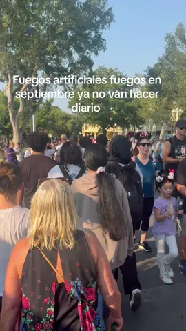 Fuegos artificiales fuegos en septiembre ya no van hacer diario#disneyland 