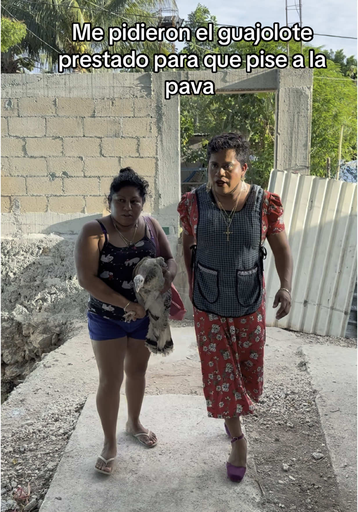 Me pidieron el totole prestado para que agarre a la pava y no me dieron el burraje #doñacataydominga #doñacata #comedia 