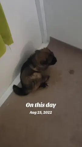 #onthisday