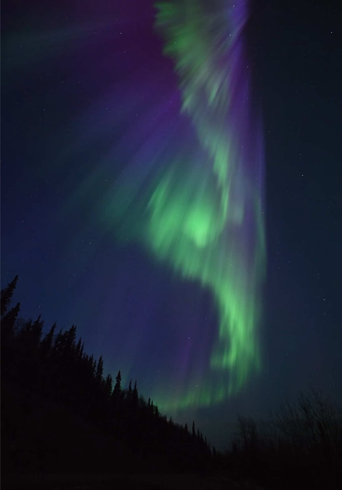 COLOURFUL AURORAS>>> #alaska #aurora #auroraborealis #northernlights 