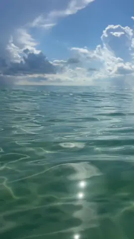 🤌🏼🤍☀️🌊👙⛱️