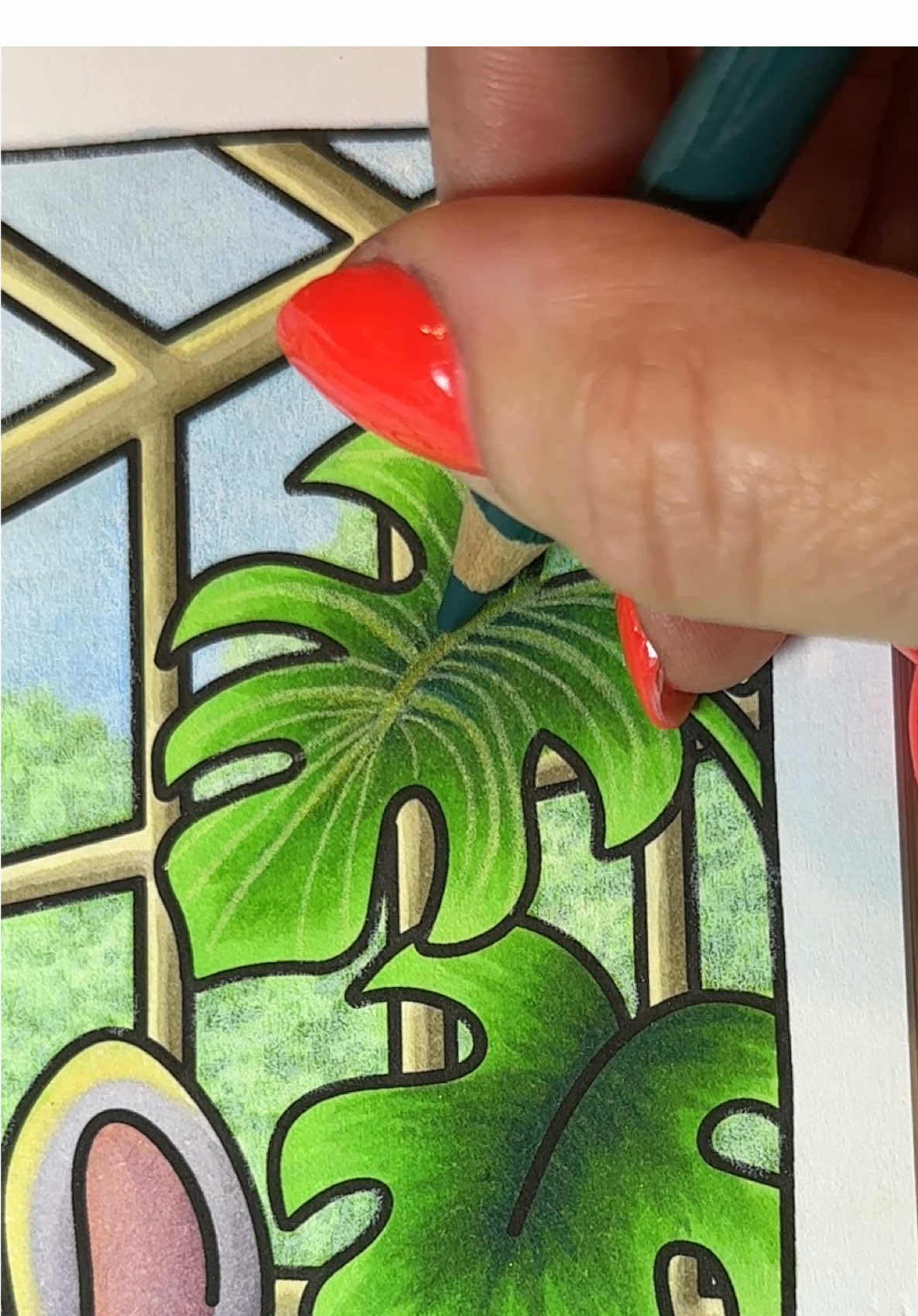 💚 A little relaxing palm plant coloring tutorial using Ohuhu Alcohol Markers + Ohuhu Colored Pencils  #coloringtutorial #relaxingvideos #colorwithme #coloringtherapy #arttherapy  