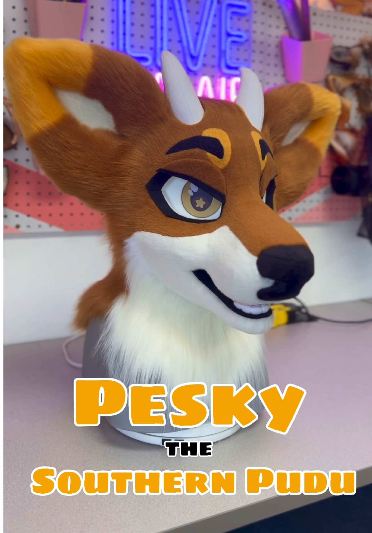Say hi to Pesky! Have you ever seen a pudu fursuit before? Catch this critter as a fullsuit skittering around Megaplex this weekend! #fursuitmaker #furry #furrys #spiltgrapesoda 