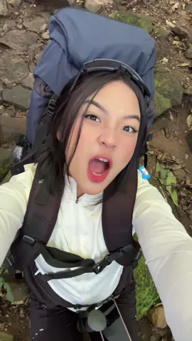 nungguin uti pup