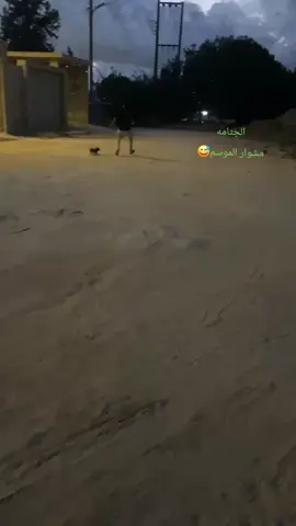 #فرسان_الخيل #فرسان_برقه🖤🔥✊🏻  #البيضاء #الجبل_الاخضر #الشعب_الصيني_ماله_حل😂😂 