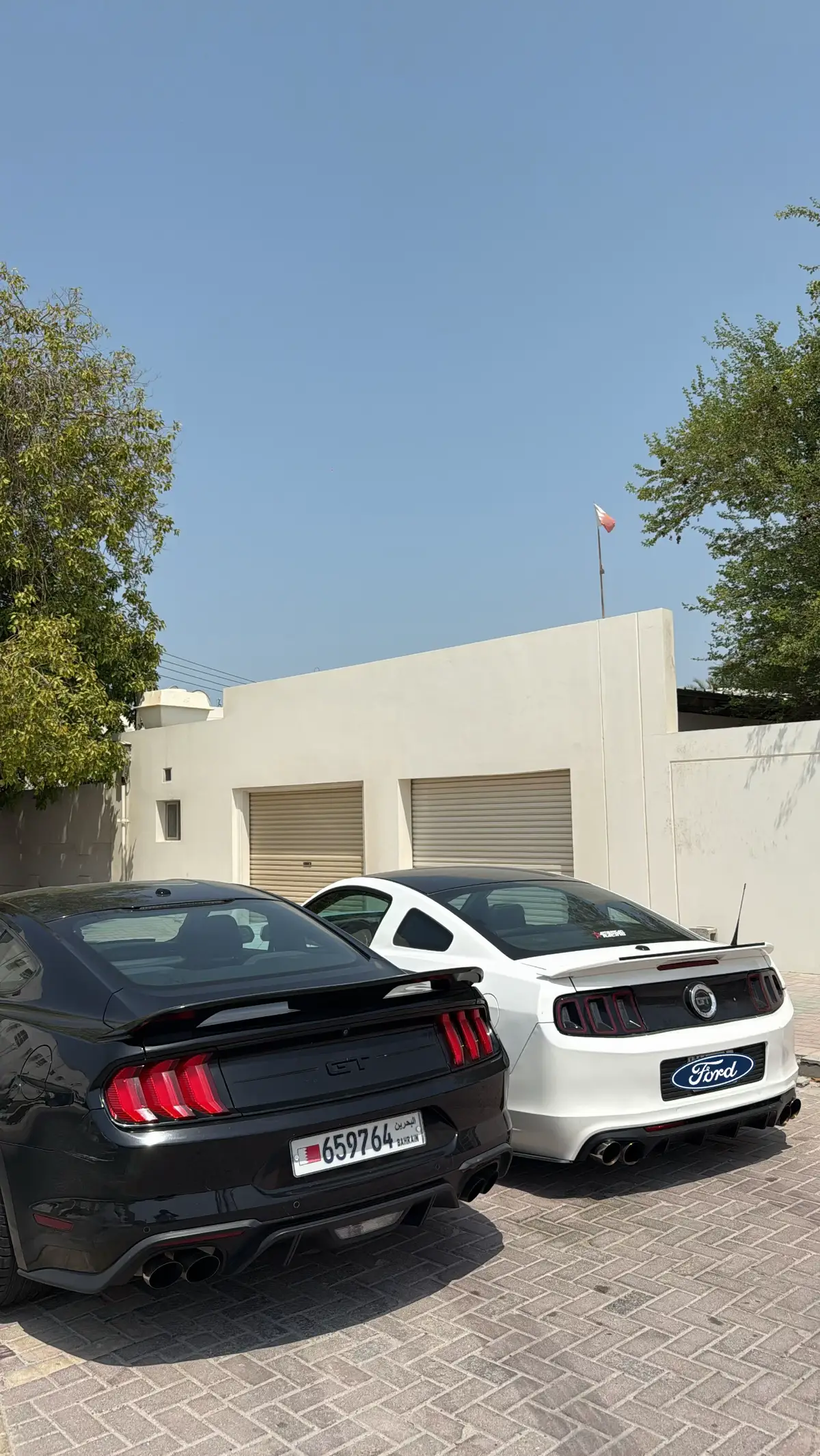 #explore #fyp #5oh #mustang #black 