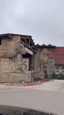 Always the best time at @Great Wolf Lodge #tiktokgostay #tiktokgo #greatwolflodge #bookingcom 