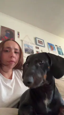 tips and tricks on how to train #dogparent #RomanSeries 