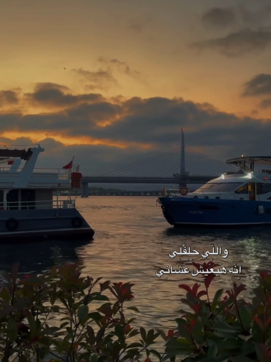 #CapCut #دا_نساني_واذاني @ٔ  #فيديوهاتي_تصاميمي🎶🎬 #ستوريات #tiktokindia 