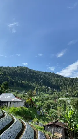 merapi-merbabu dari ngargoyoso 😍😍 #merbabu #merapi #fyp #karanganyar24jam 