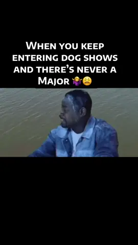 Or they are always getting broke! Chasing that Major can be rough  🤣🤣 #dogshow #akc #noquit #doghumor 