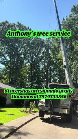 #creatorsearchinsights #fyp #negocio #anthonystreeserviceva 