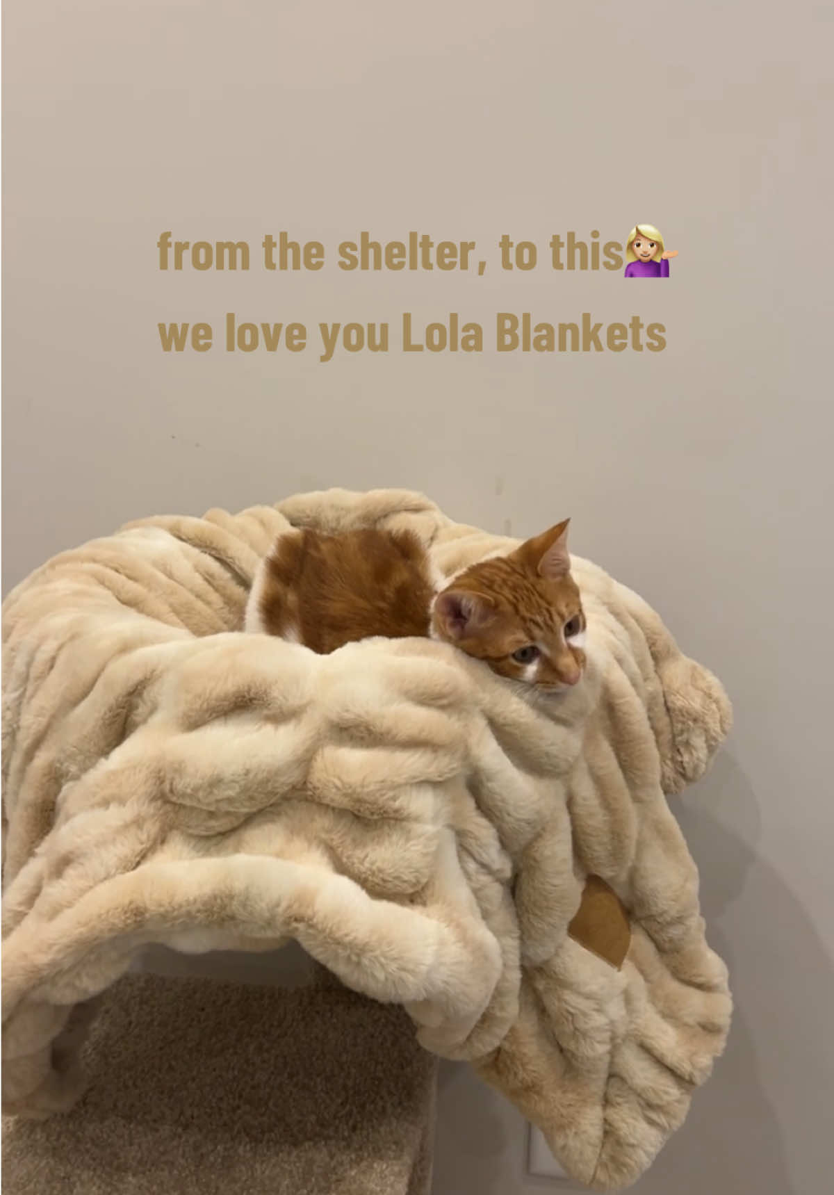sunny’s first PR 🥹🥹 @lolablankets 