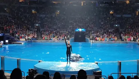 Jessica & Orca #viraltiktok  #jessica  #orca  #dolphin  #veo3 