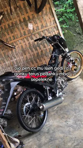 dohc lo iki🥵#fuporting155 #fuwungkul147 #fu200cc #promomakangajian #fyp #xyzabc #pacitan24jam #dragbike201m 