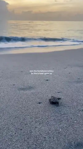 Ever wonder what it’s like to live in a beach town year-round? 🏖️ In The Palm Beaches, you don’t have to wonder - you get to live it. 🌴☀️ Escape the hustle, embrace the coastal calm. 🎥@kendall.mcm 📍Jupiter, FL #ThePalmBeaches #LOVEThePalmBeaches #BeachLife #ThePalmBeaches #FloridaLiving  