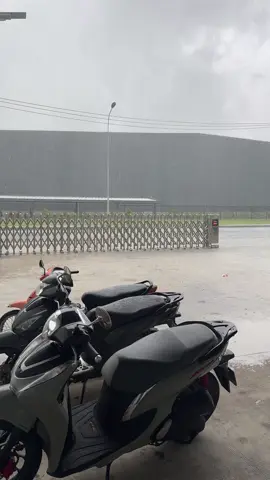 Mưa này nghỉ làm được rồi nek 🤣🤣🤣