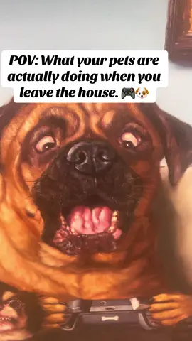POV: What your pets do when you're not home 🐶🎮