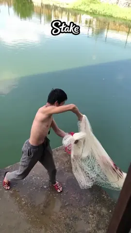 #fishing #fishingtiktoks #viral #trending 