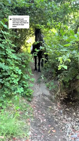 Replying to @el_compa_vidas si tu caballo, no quiere pasar el agua, bájate y llévatelo jalando #hose #rancho #potros #caballos #fyppppppppppppppppppppppp 
