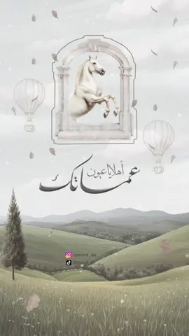 شارة مولود من العمات  🚫لا احلل ولاابيح اخذ وتقليد التصميم🚫 #زمرد_للدعوات_الالكترونية #دعوات_الكترونيه #بشارة_مولود_من_العمة #بشارة_مولود #مولود_اخوي 