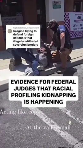 Replying to @Labron Jovi now try telling that all the US citizens being harassed and detained! 