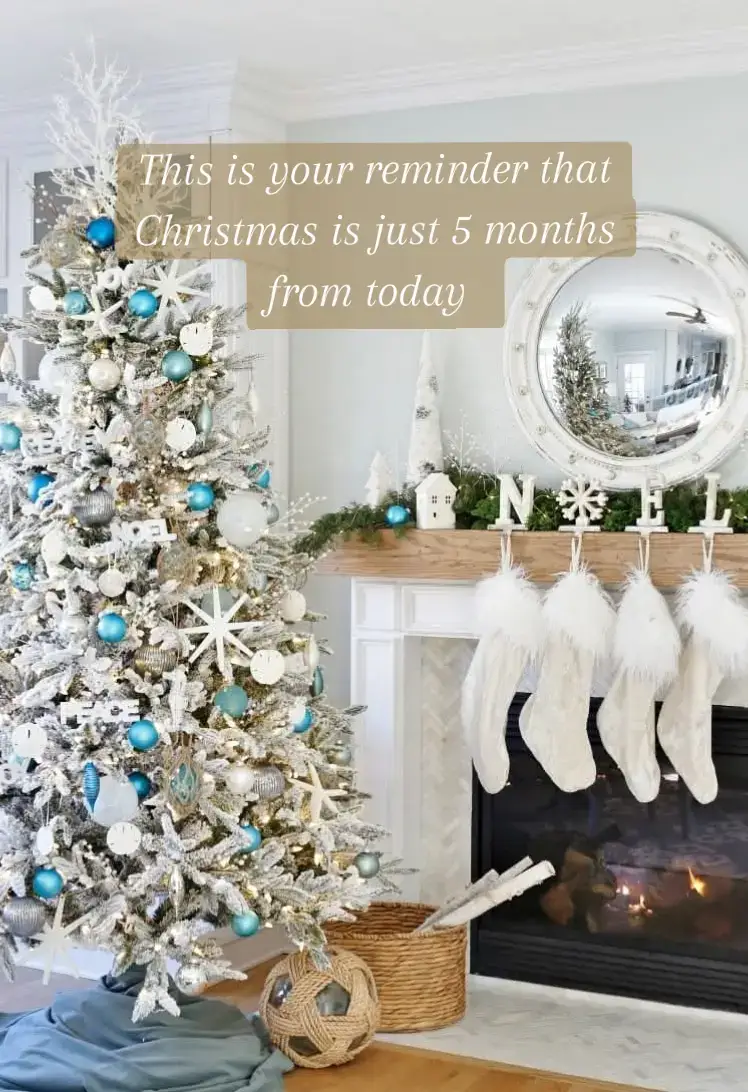 Just a little reminder that #Christmas will be here in just 5 months ❤️🎄💫  Are you someone who starts planning early or do you wait until after Thanksgiving?  #countdowntochristmas 