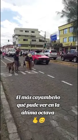 llegué en la mejor octava por qué pude ver lo que es disfrutar 2 personas que 20 el si cumplió con su última octava y bien disfrutado🫰😊 #octavasdejuanmontalvo 