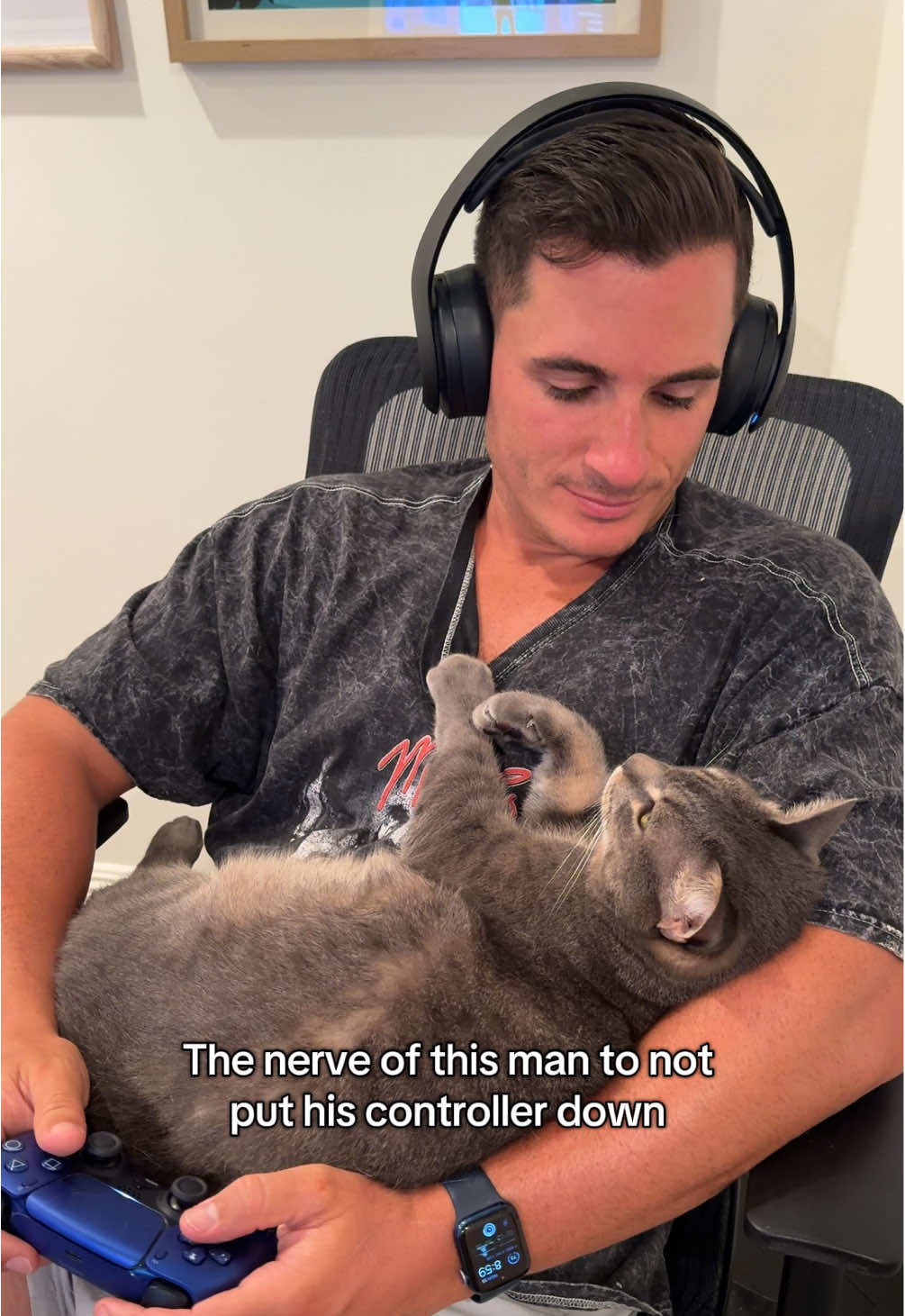 How can you ignore that face!!!! #cats #catsoftiktok #boycats #foryoupage #catdad