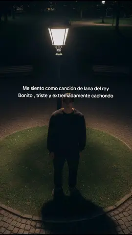 El mood lana #viral #fyp #amgeto #lanadelrey 