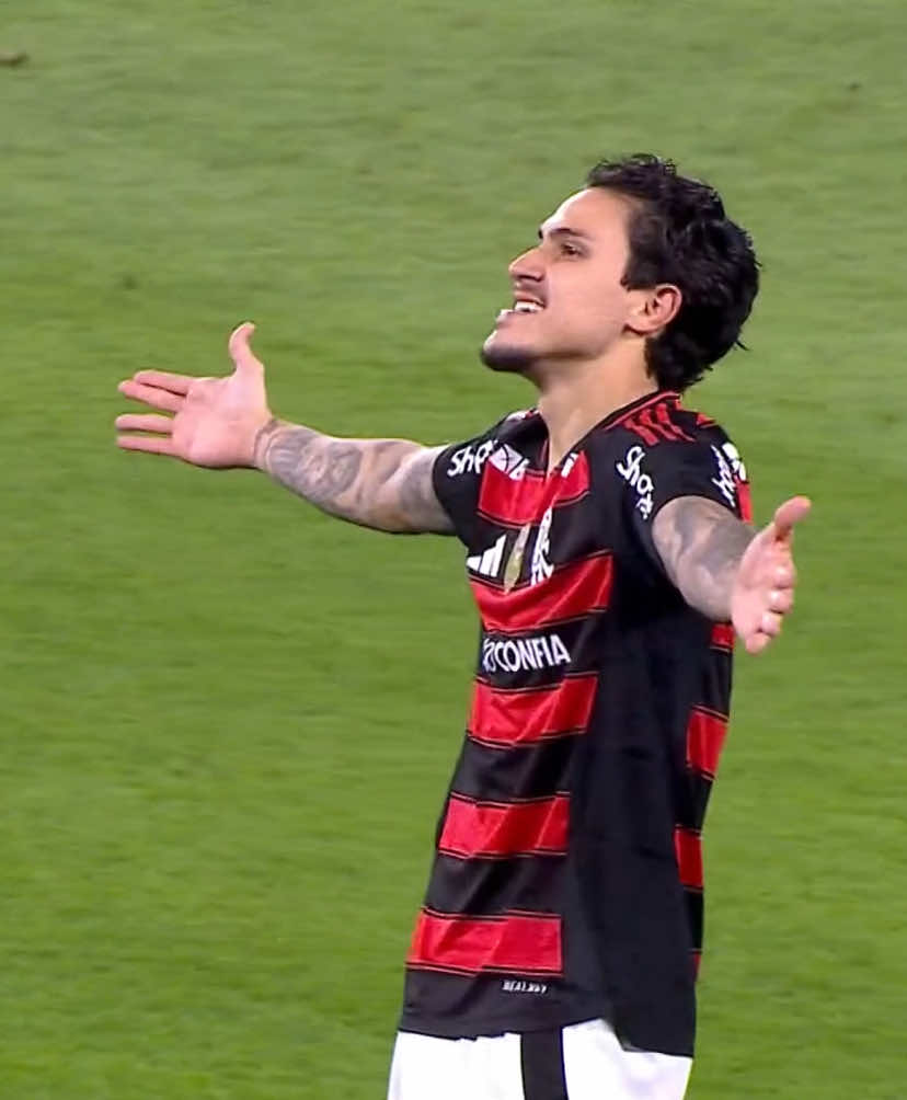 Gol Pedro - Flamengo 4 x 0 Vitória  #gol #brasileirao #flamengo #futebolbrasileiro #fyp 