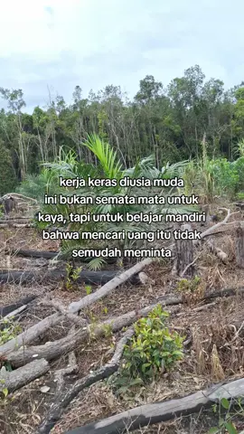 🤝 #petanimuda #petanisawit #fyp #foryoupage #masukberandafyp 