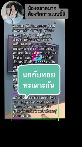 นกกับหอยทะเลาะกัน #ด้อมทานตะวัน #kuian888 #ขุยอันวันนี้ #ขุยอันล่าสุด #ชาลีขุยอัน 
