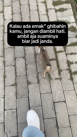 🤣🤣🤣