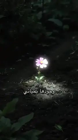 منشن للي تحسون وجودهم بحياتكم كذا✨ #اكسبلور  #اكسبلورexplore 