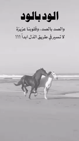 الزهرة لا تفكر في منافسة الزهرة المجاورة إنها تزهر فقط#💞💞💞💞💞💞💞💞💞💞 