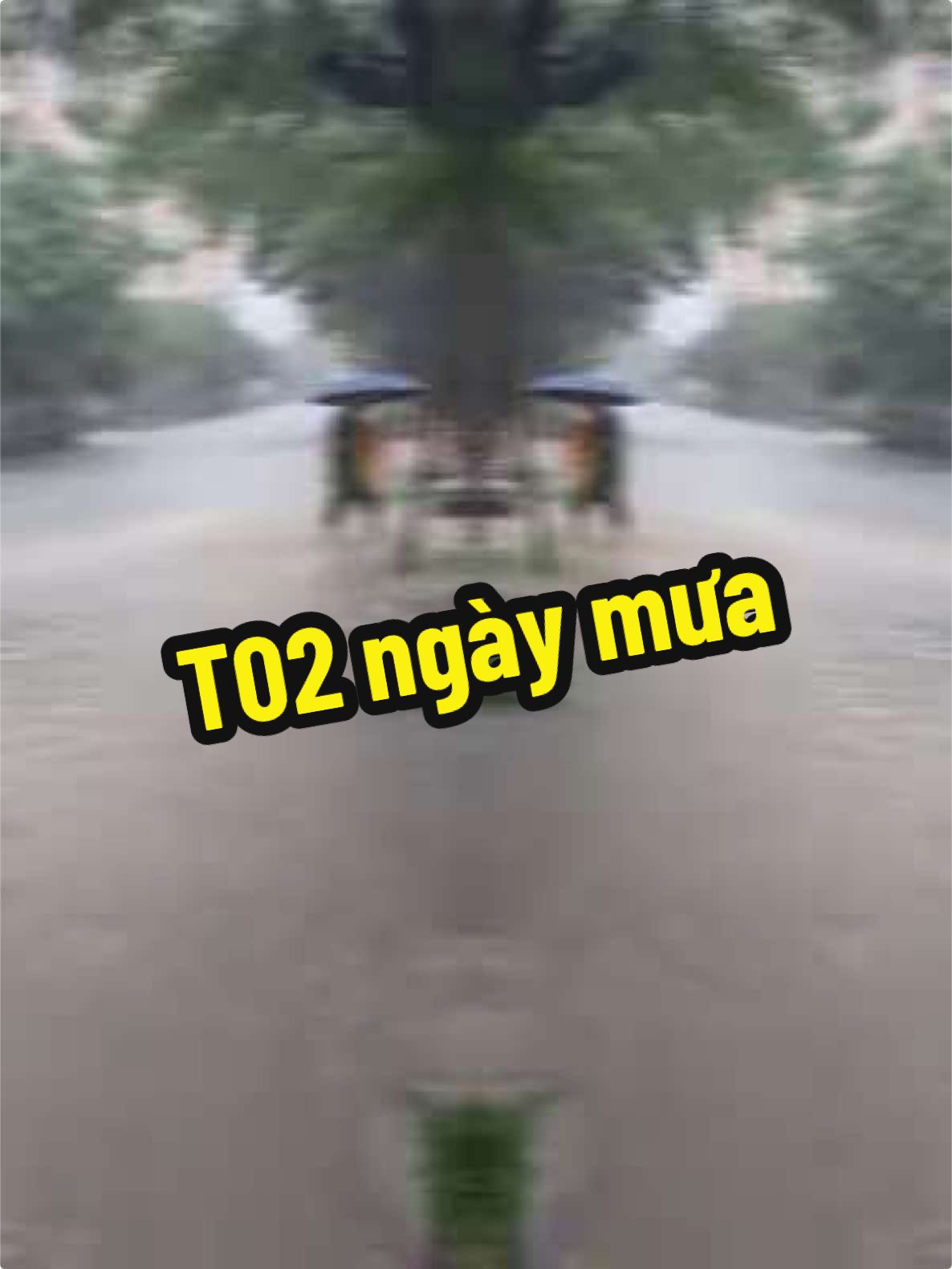*“Mưa thì cứ mưa, ngập thì cứ ngập… quan trọng là lòng mình vẫn khô ráo, chưa có ai tràn vào.” 😌☔️#xh #t02cogi #trending #muahanoi #baokajiki #muabao 
