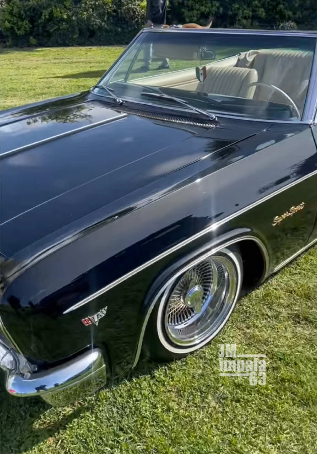 66 Impala. #lowridercars #fyp #lowrider #classiccars #superiorsoccarclub 