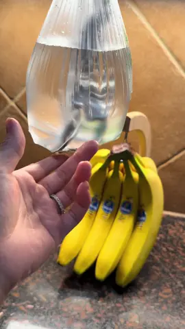 My grandma told me this secret 🤫 the best way to get rid of flies #lifehacks #mosquitos #bites #DIY #homehacks 