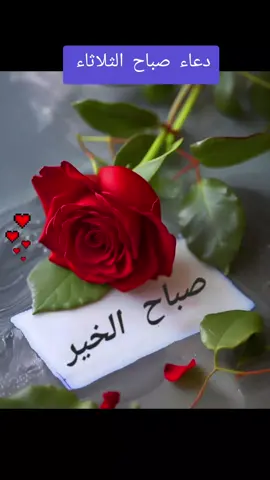 #يسعد_صباحكم #دعاء #صباح_الخير 