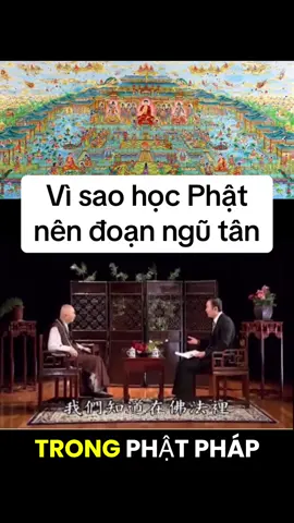 Pháp sư Tịnh Không khai thị #nammoadidaphat #tayphuongcuclac #adidaphat #phapsutinhkhong #tinhkhongphapsu 