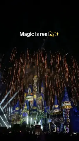 The magic is real 🥹 #disney #disneyworld #disneyparks #disneyadult #views 