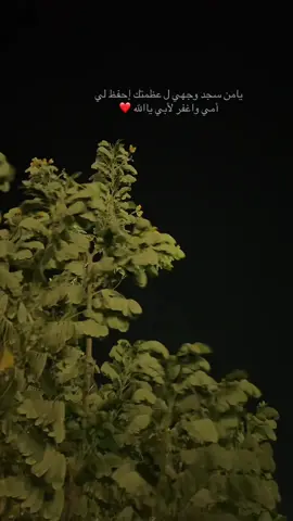 #🤍🤍🤍 