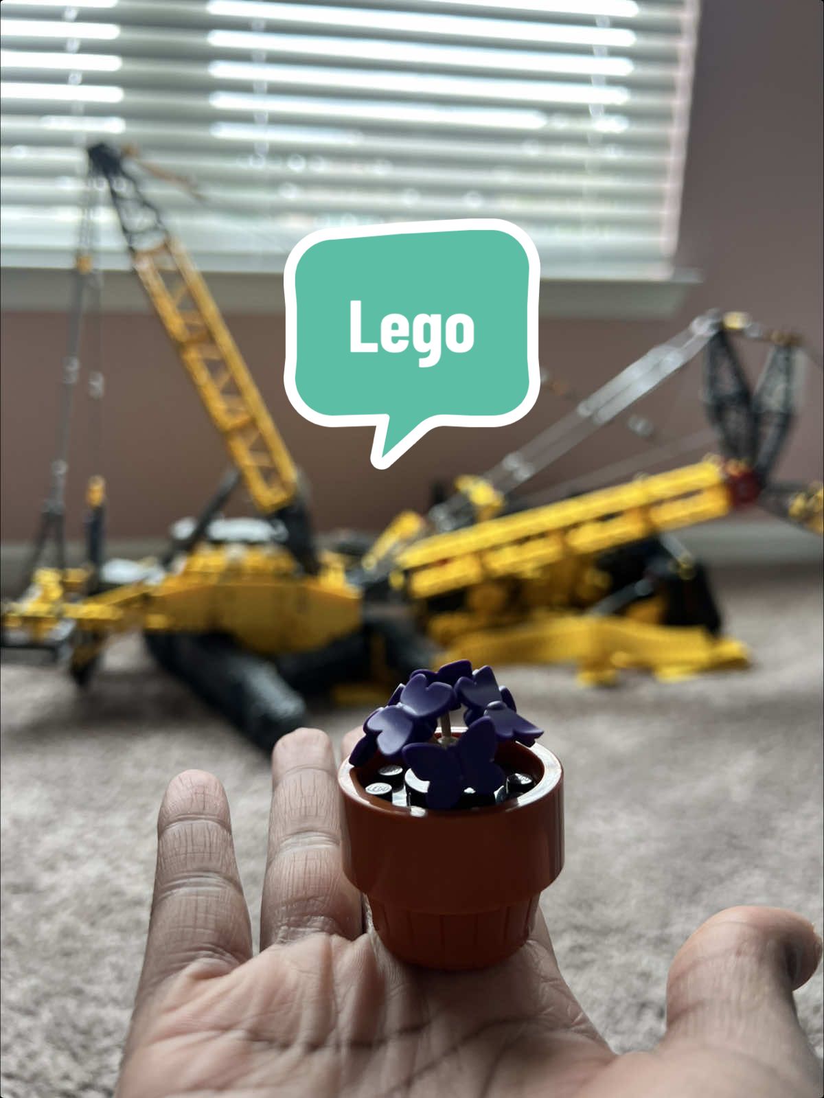 My husband unprovoked came into my game room laughing at my current Lego set 🤣🙃 #lego #legotok #legotiktok #legotiktoker #legos 