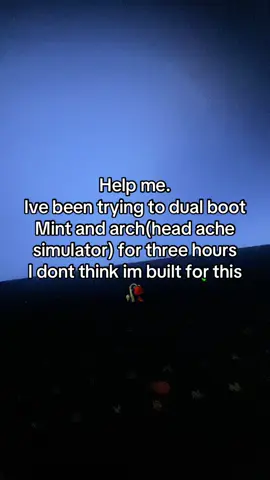 Help me. #fyp #xyzcba #linux #helpme #dualbooting 