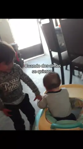 lo difícil que debe ser para un niño tener que procesar que su compañerito de travesuras se ha ido al cielo..🥺🤍#cuandodosalmassequieren 