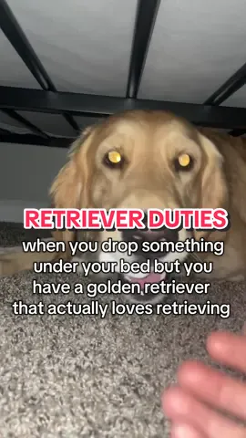 my arm doesn’t fit down the side against the wall and i really didn’t feel like crawling underneath or moving my bed to grab my airpods that fell 🥲 handy dandy golden retriever 