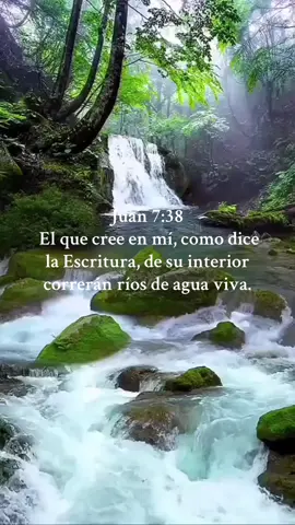 #agua #viva Juan 7:38